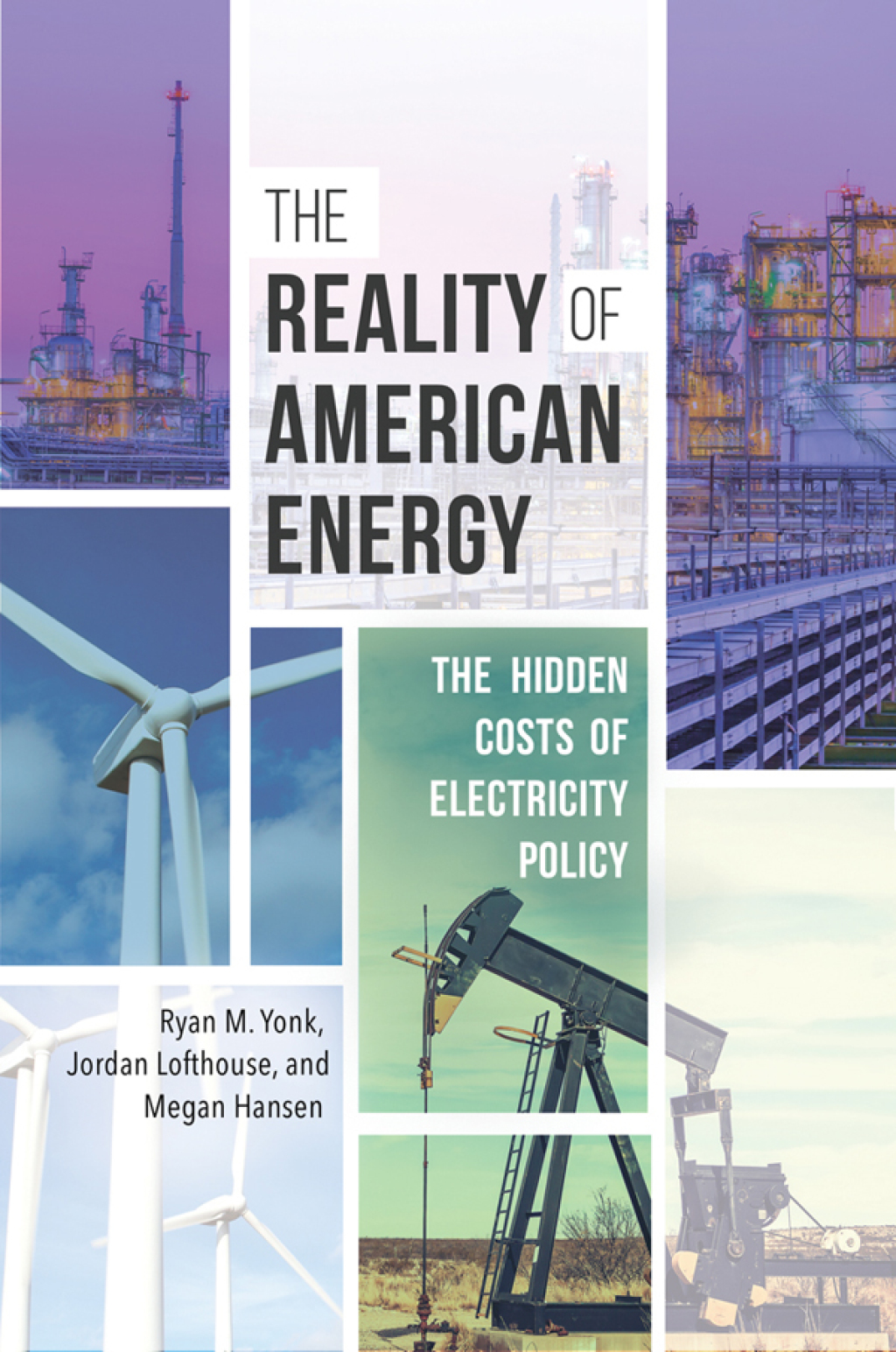 The Reality of American Energy The Hidden Costs of Electricity Policy 1st Edition