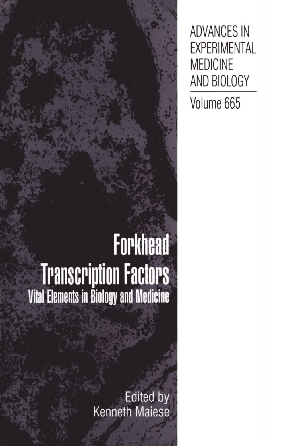 Forkhead Transcription Factors Vital Elements in Biology and Medicine 1st Edition