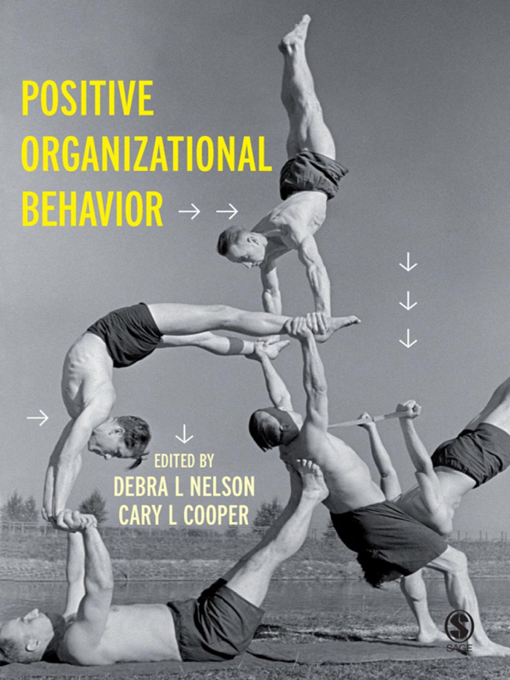 Positive Organizational Behavior 1st Edition