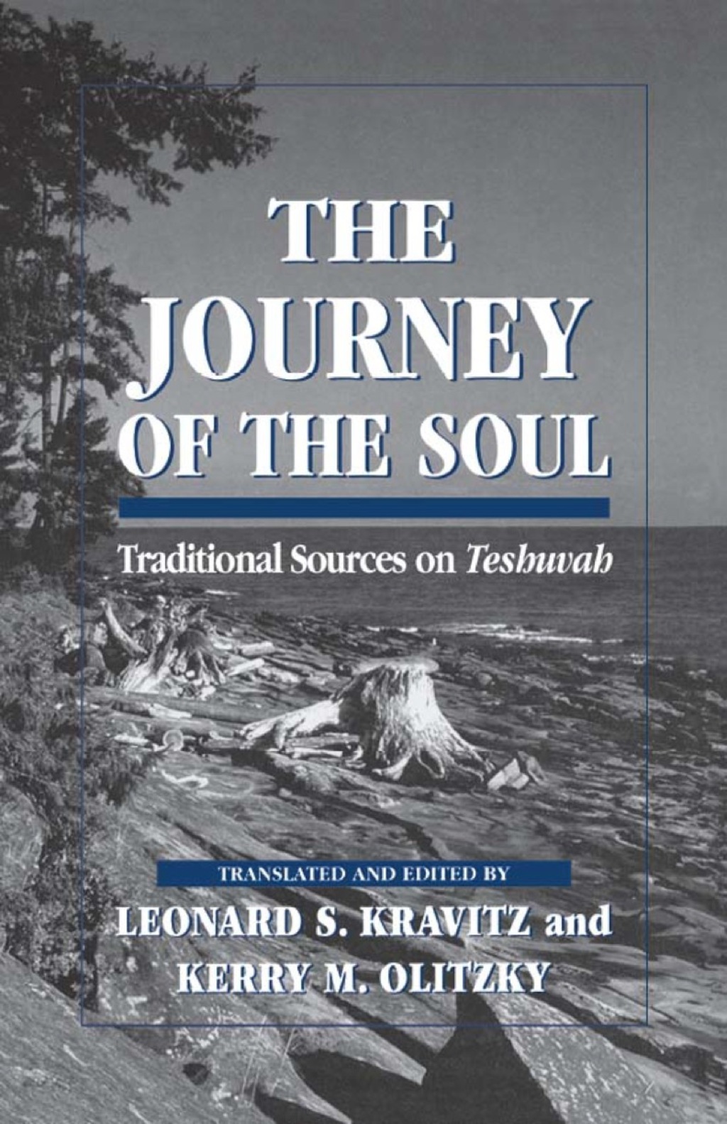 The Journey of the Soul Traditional Sources on Teshuvah