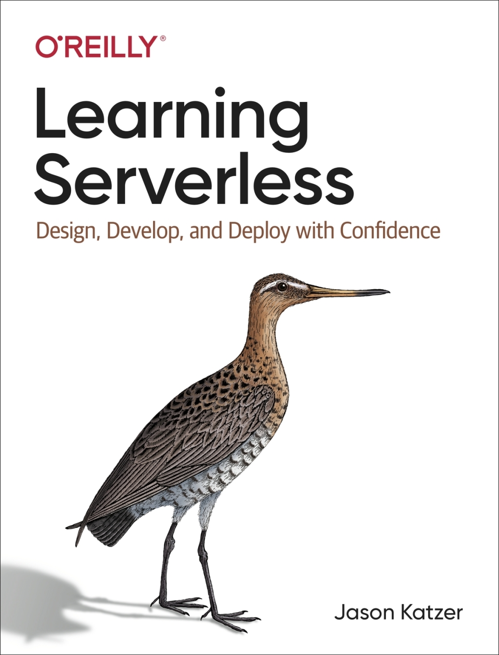 Learning Serverless 1st Edition
