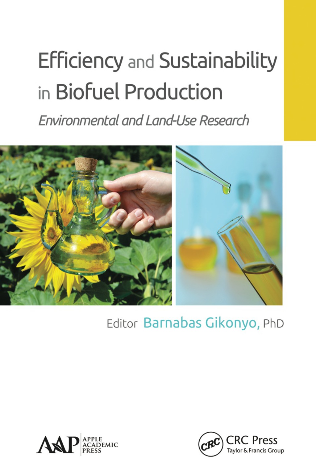 Efficiency and Sustainability in Biofuel Production Environmental and Land-Use Research 1st Edition