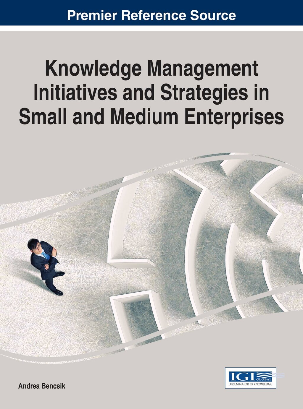 Knowledge Management Initiatives and Strategies in Small and Medium Enterprises