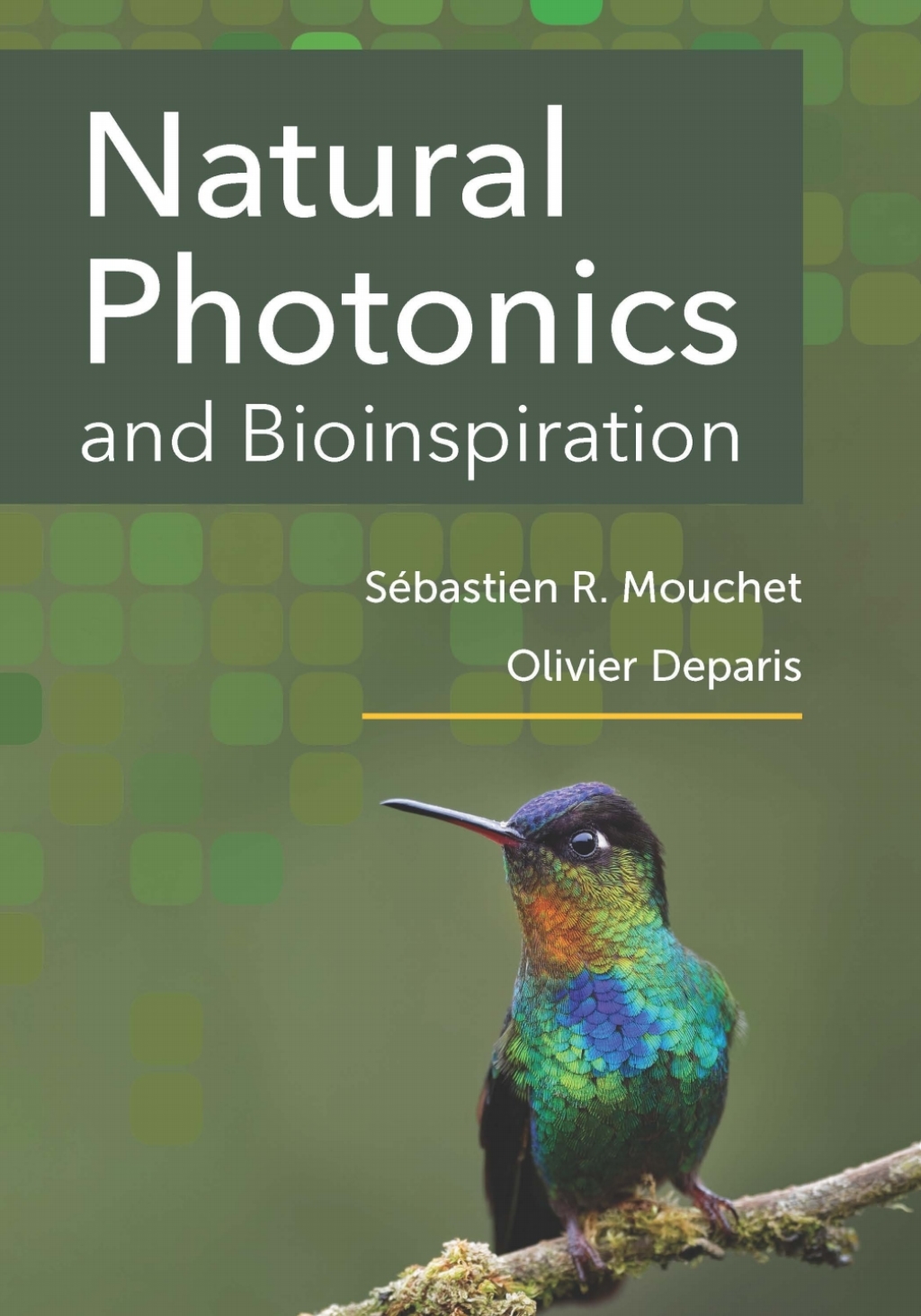 Natural Photonics and Bioinspiration 1st Edition
