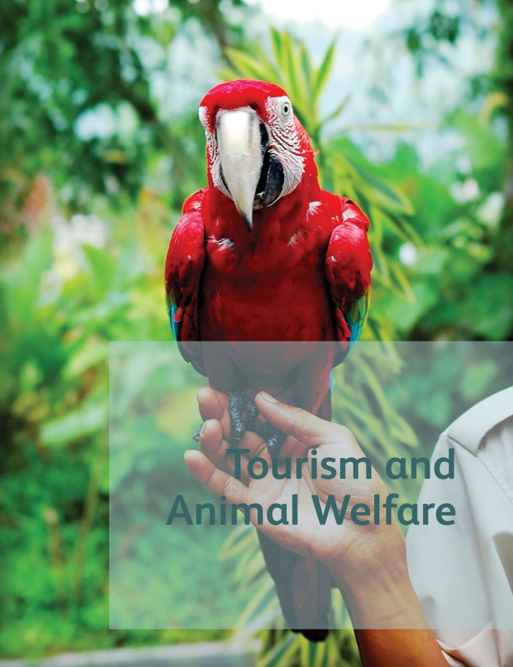 Tourism and Animal Welfare