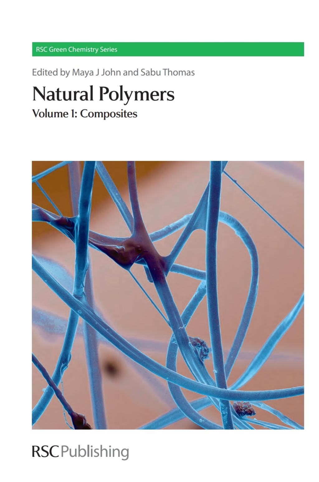 Natural Polymers Volume 1: Composites 1st Edition