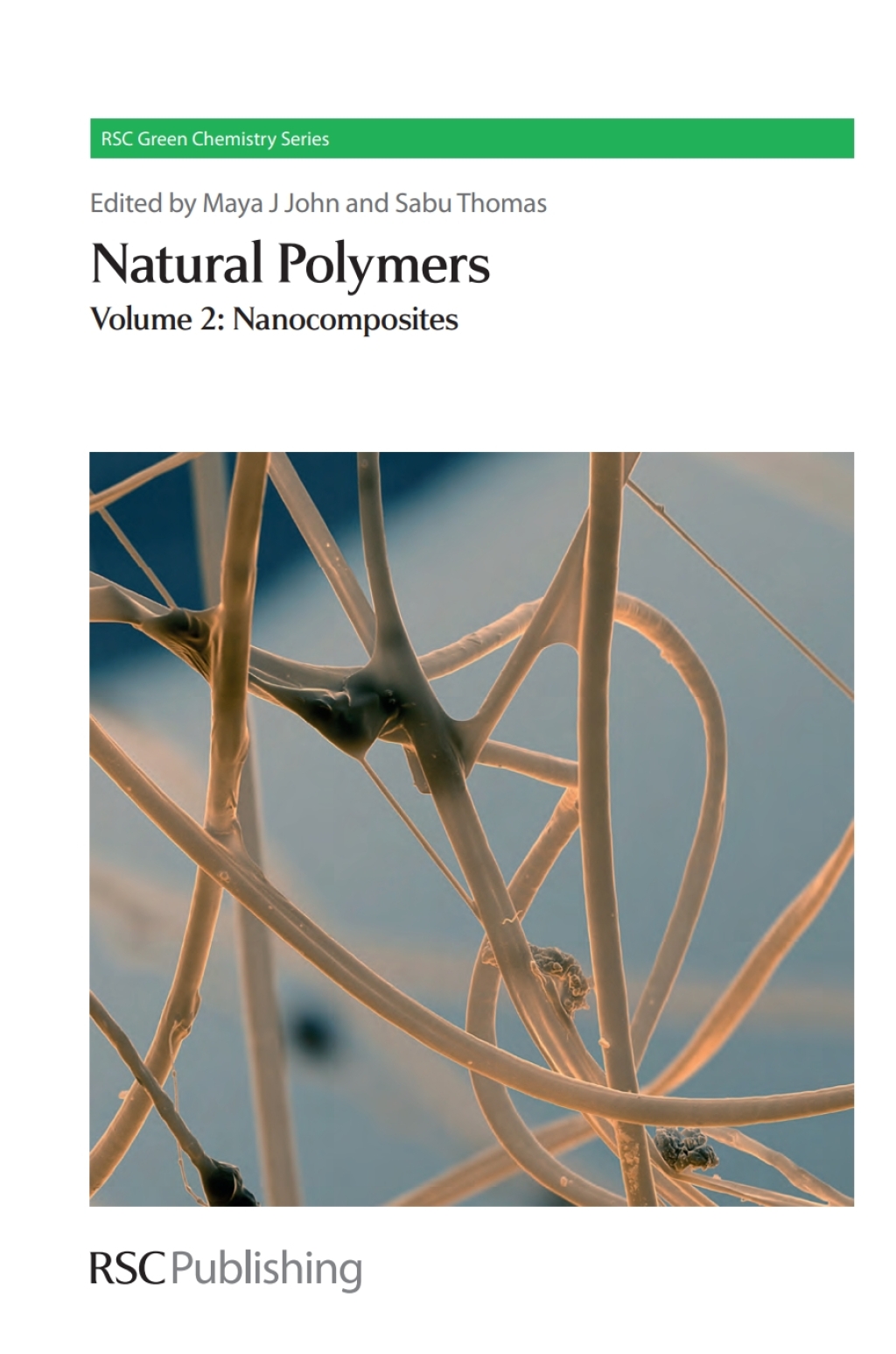 Natural Polymers Volume 2: Nanocomposites 1st Edition