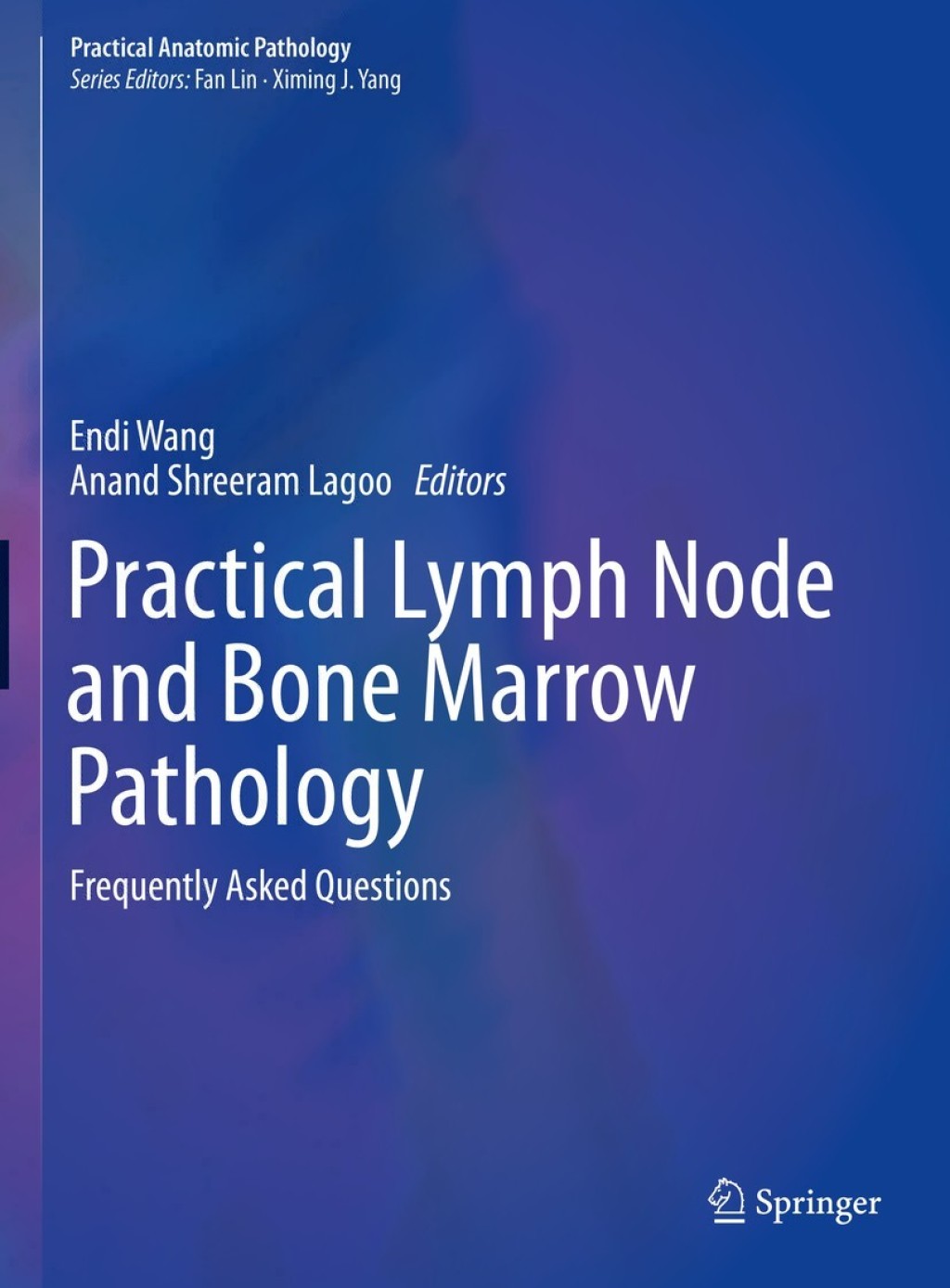 Practical Lymph Node and Bone Marrow Pathology Frequently Asked Questions 1st Edition