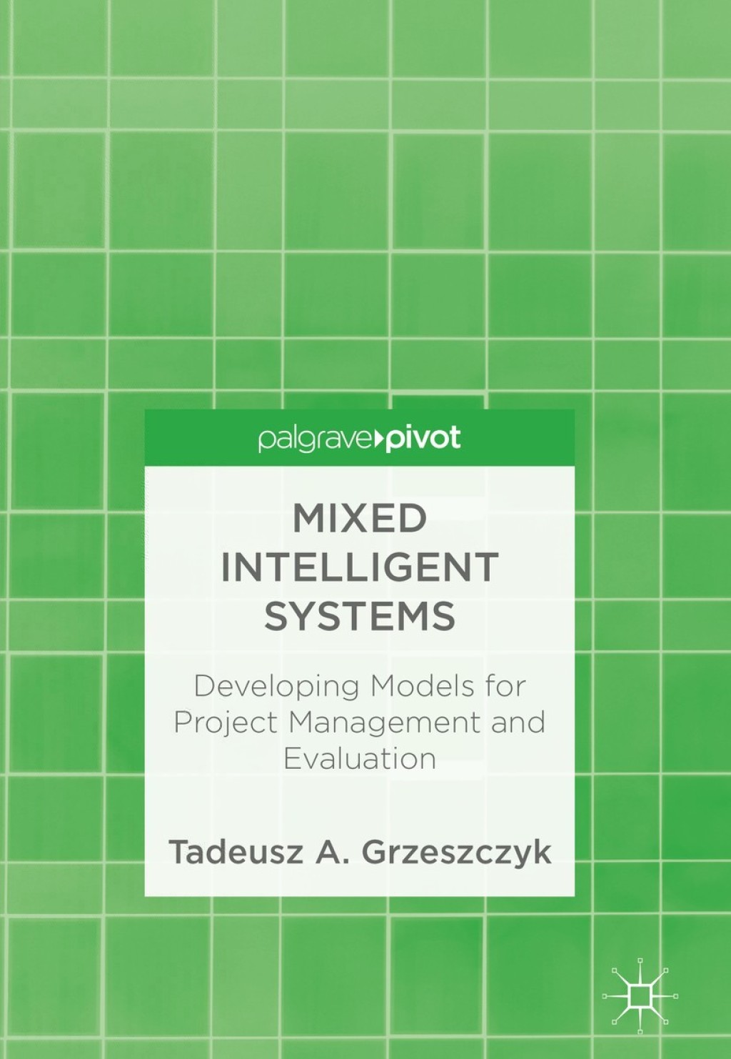 Mixed Intelligent Systems Developing Models for Project Management and Evaluation