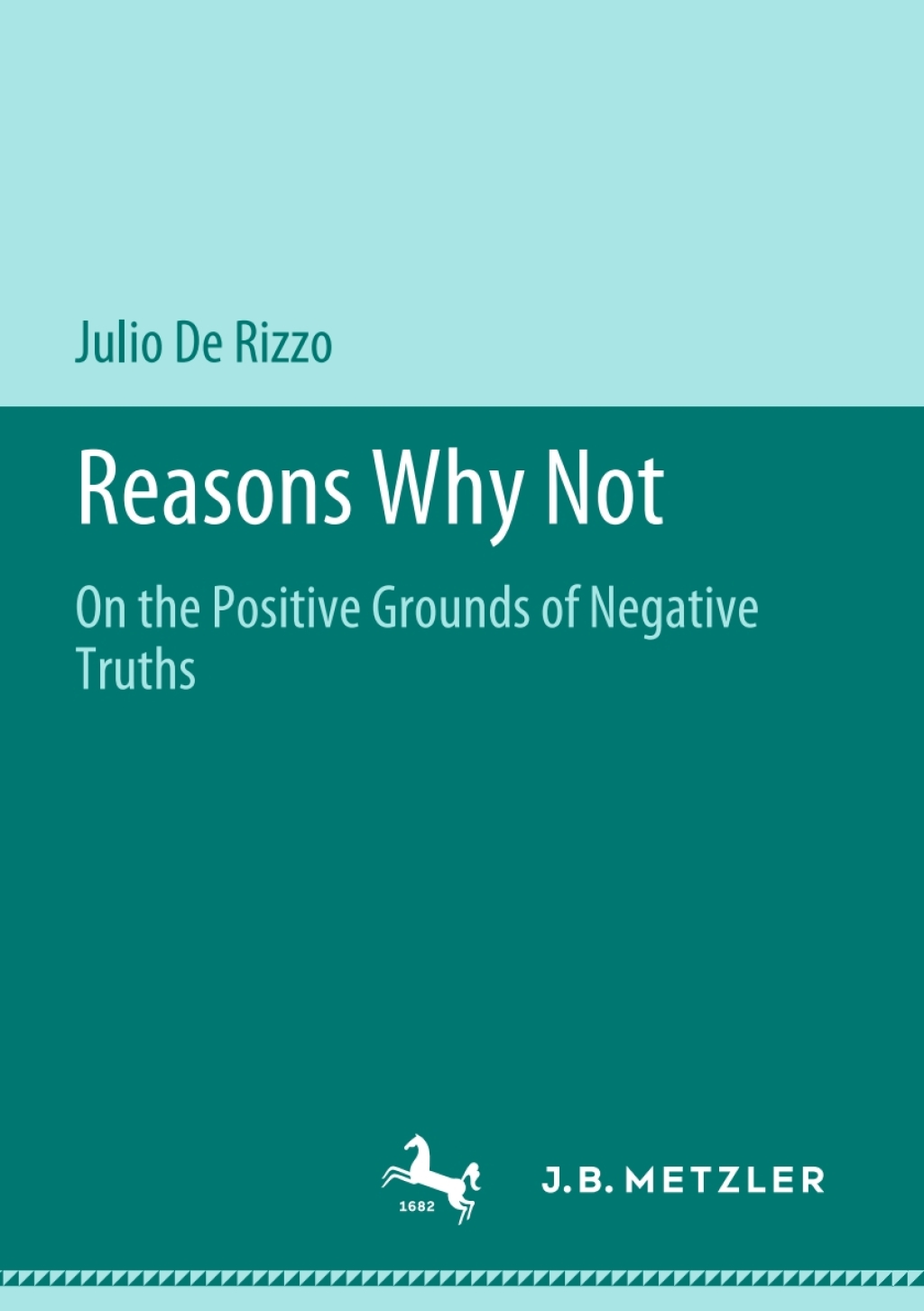 Reasons Why Not On the Positive Grounds of Negative Truths