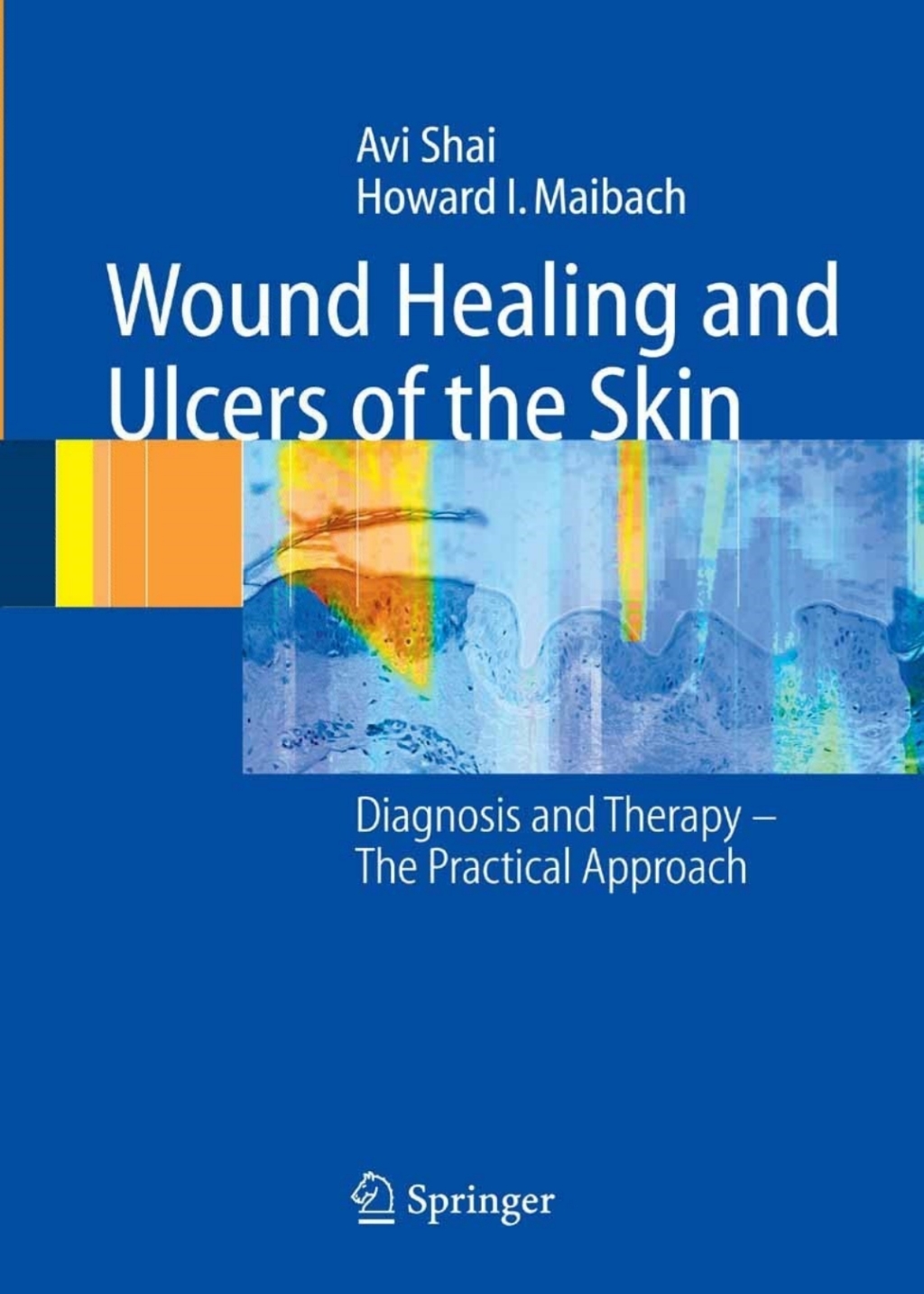 Wound Healing and Ulcers of the Skin Diagnosis and Therapy - The Practical Approach