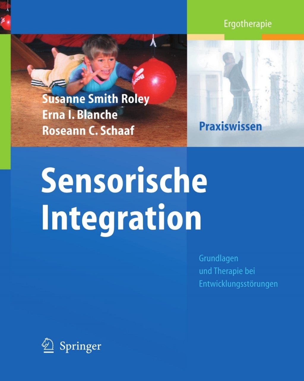 Sensorische Integration Grundlagen und Therapie bei Entwicklungsstörungen 1st Edition