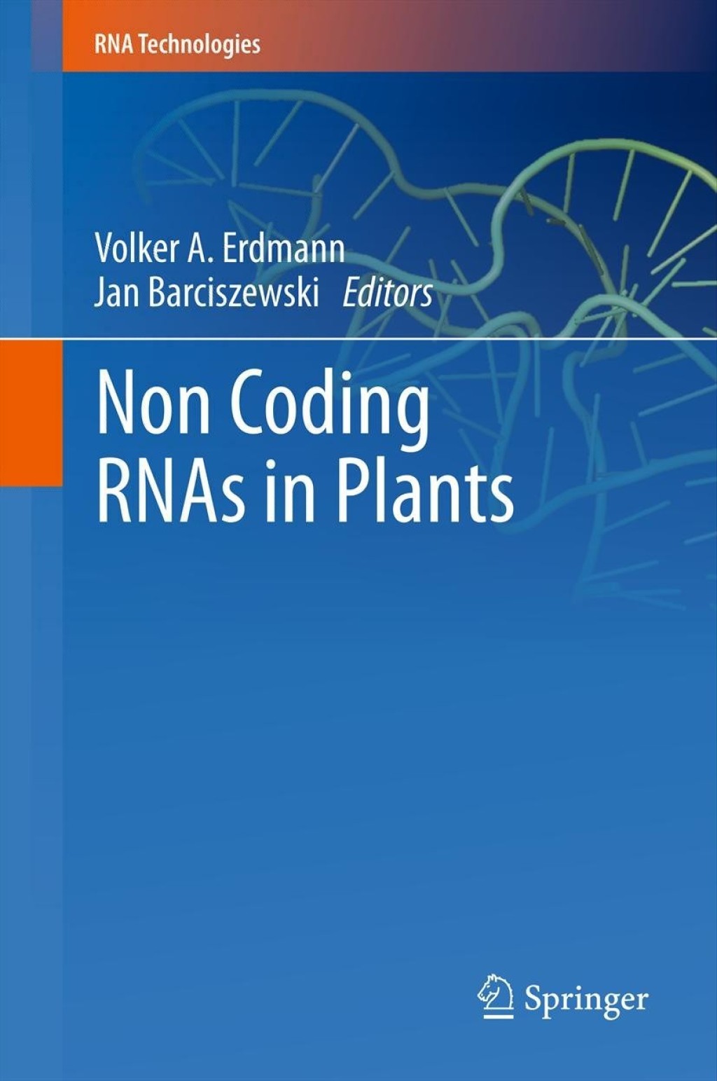 Non Coding RNAs in Plants 1st Edition