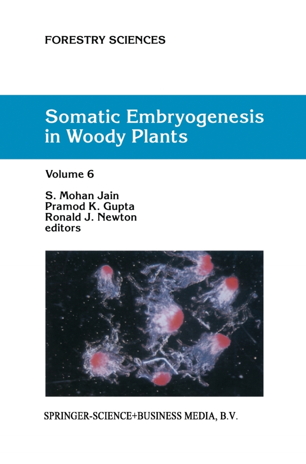 Somatic Embryogenesis in Woody Plants Volume 6 1st Edition